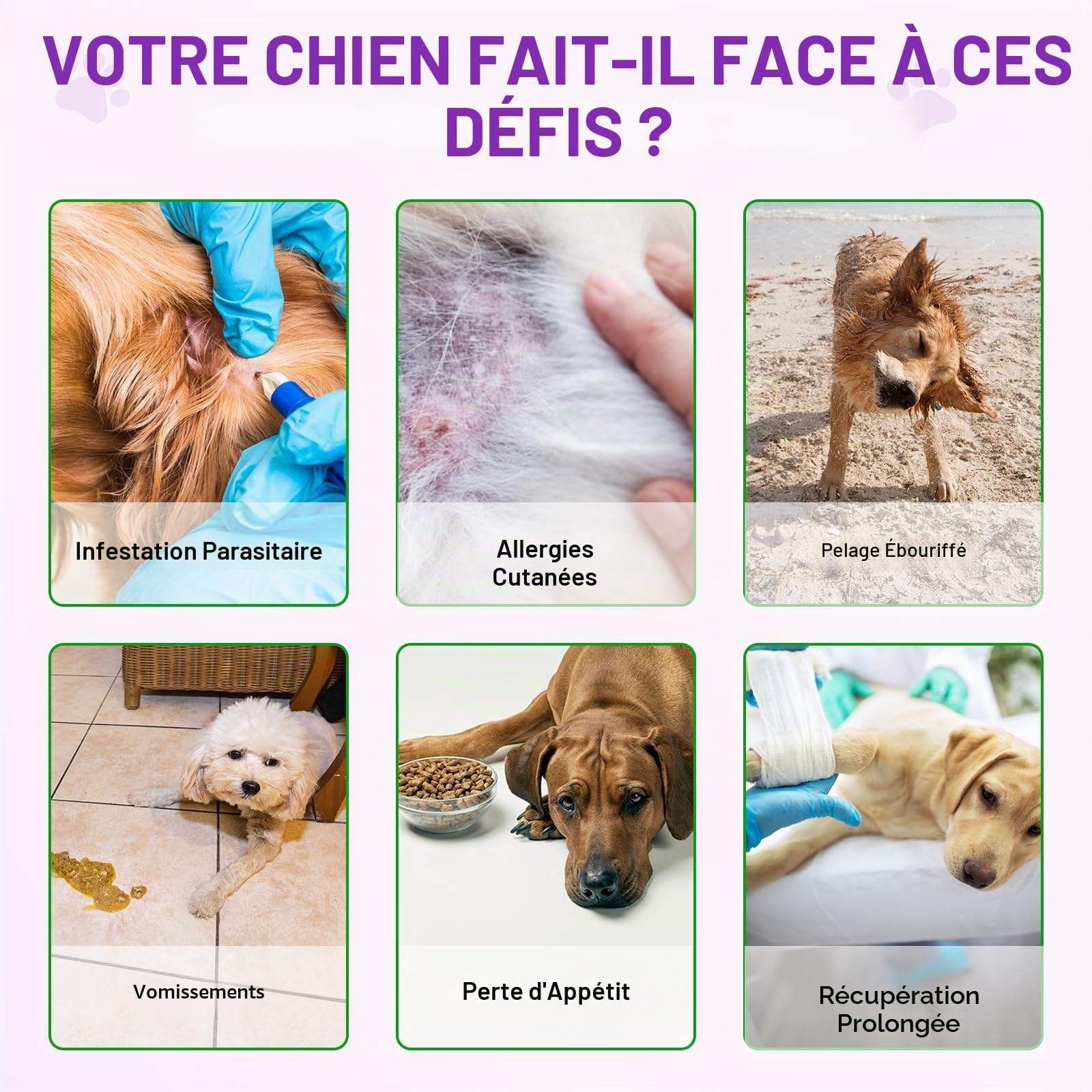 Comprimés à Mâcher pour Chiens Contre Les Allergies, Soulage Les Démangeaisons Cutanées, Renforcent l'immunité, Soulagent Les Allergies Saisonnières et Favorisent Une Peau et Un Pelage Sains, 150pc