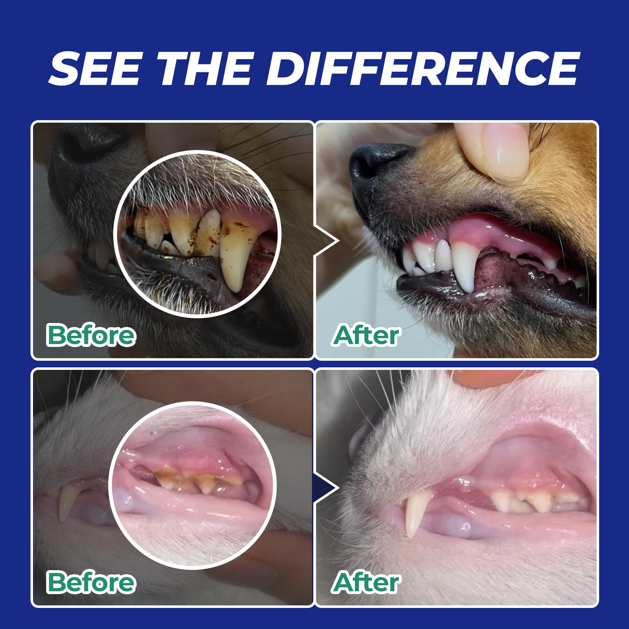 Wellix 8.82oz Dog Teeth Cleaning Powder - Dog Dental Care Powder and Cat Breath Freshener - Plaque and Tartar Remover with Enzymes & Mint for Dogs & Cats of All Ages and Breeds - image 7