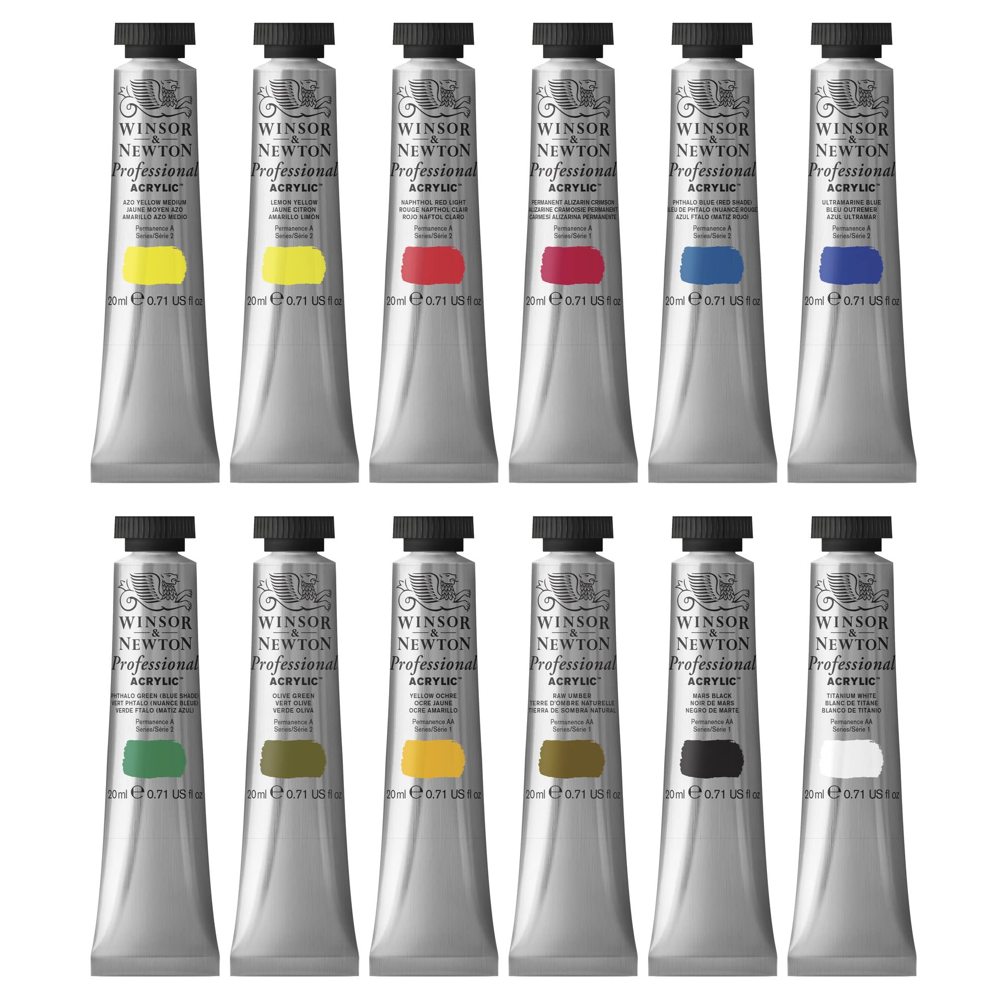 Professional Acrylic - 12 Tubi Da 20 ml