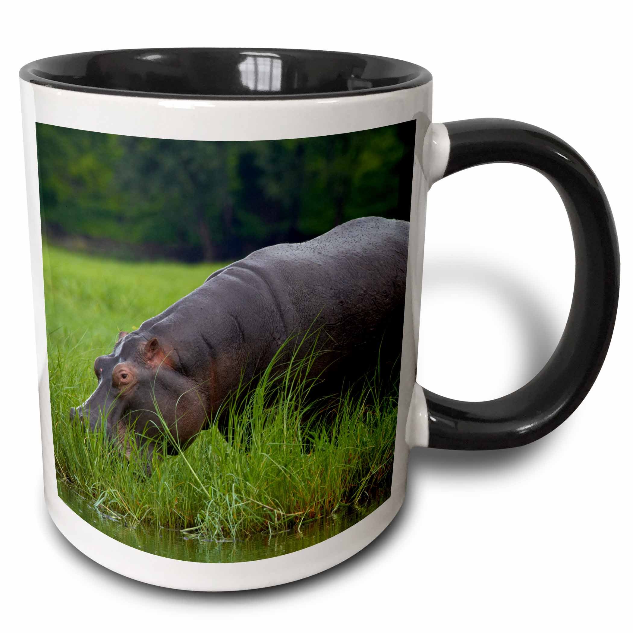 3dRose Hippopotamus and Cattle Egret River Choke Np Kaasen Botswana Two Tone Mug, 11oz, Black