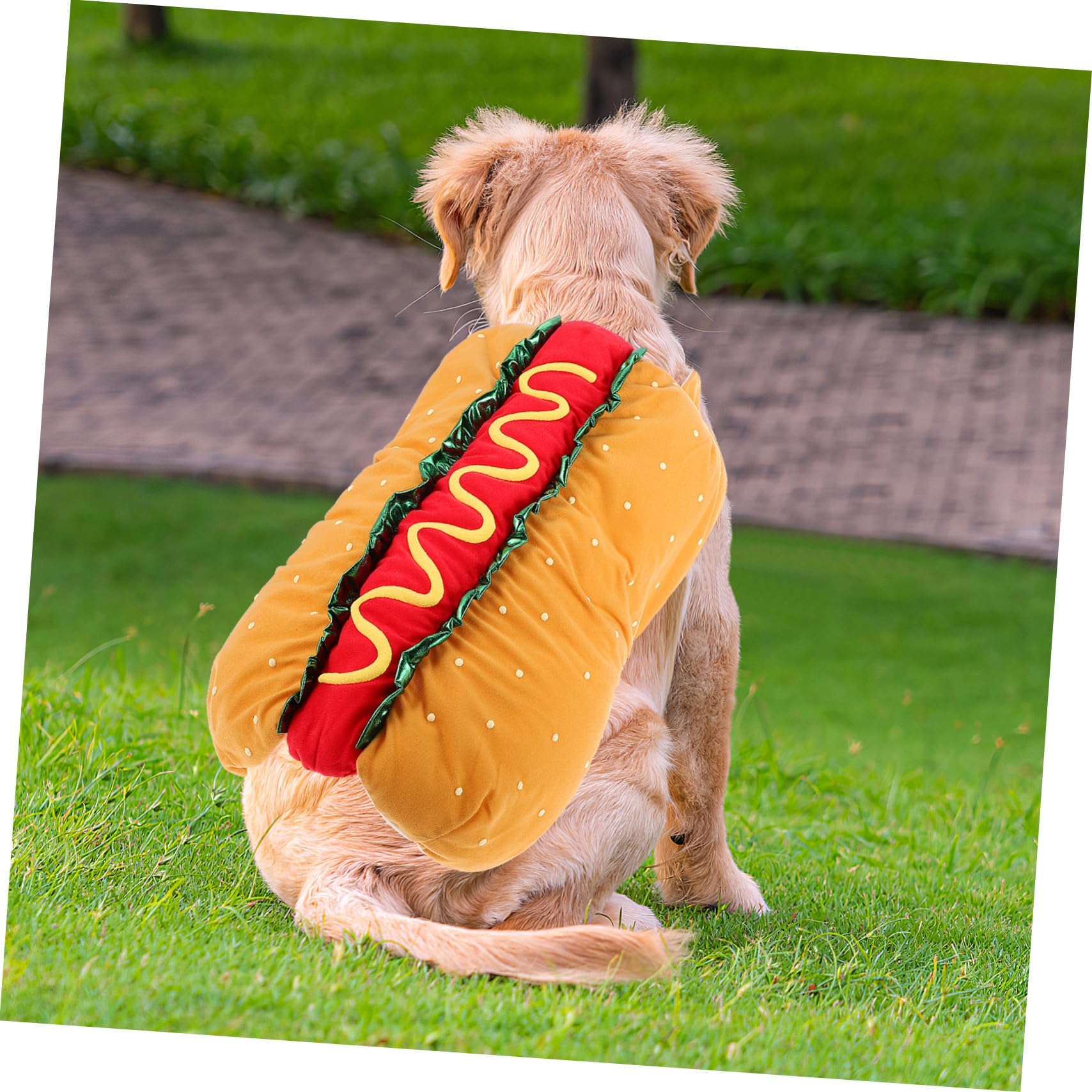 VICASKY Costume di Natale per Gatto e Cane Vestito di Carnevale in Poliestere a Tema Hot Dog Festivo