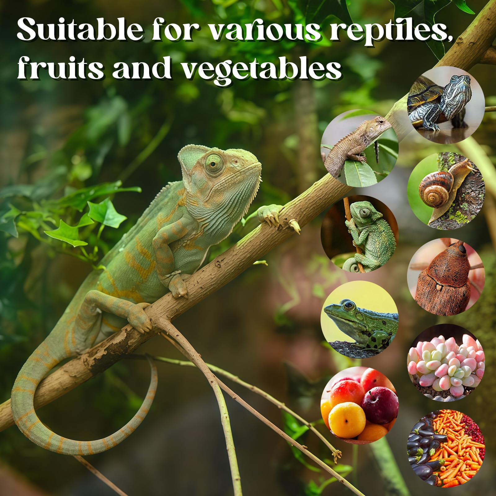 4L Reptilien Luftbefeuchter, Terrarium Nebelmaschine mit Fernbedienung, Leiser Ultraschall Fogger Nebelmaschine mit Doppeldüse, Vernebler Terrarium für Reptilien, Amphibien, Nasspflanzen
