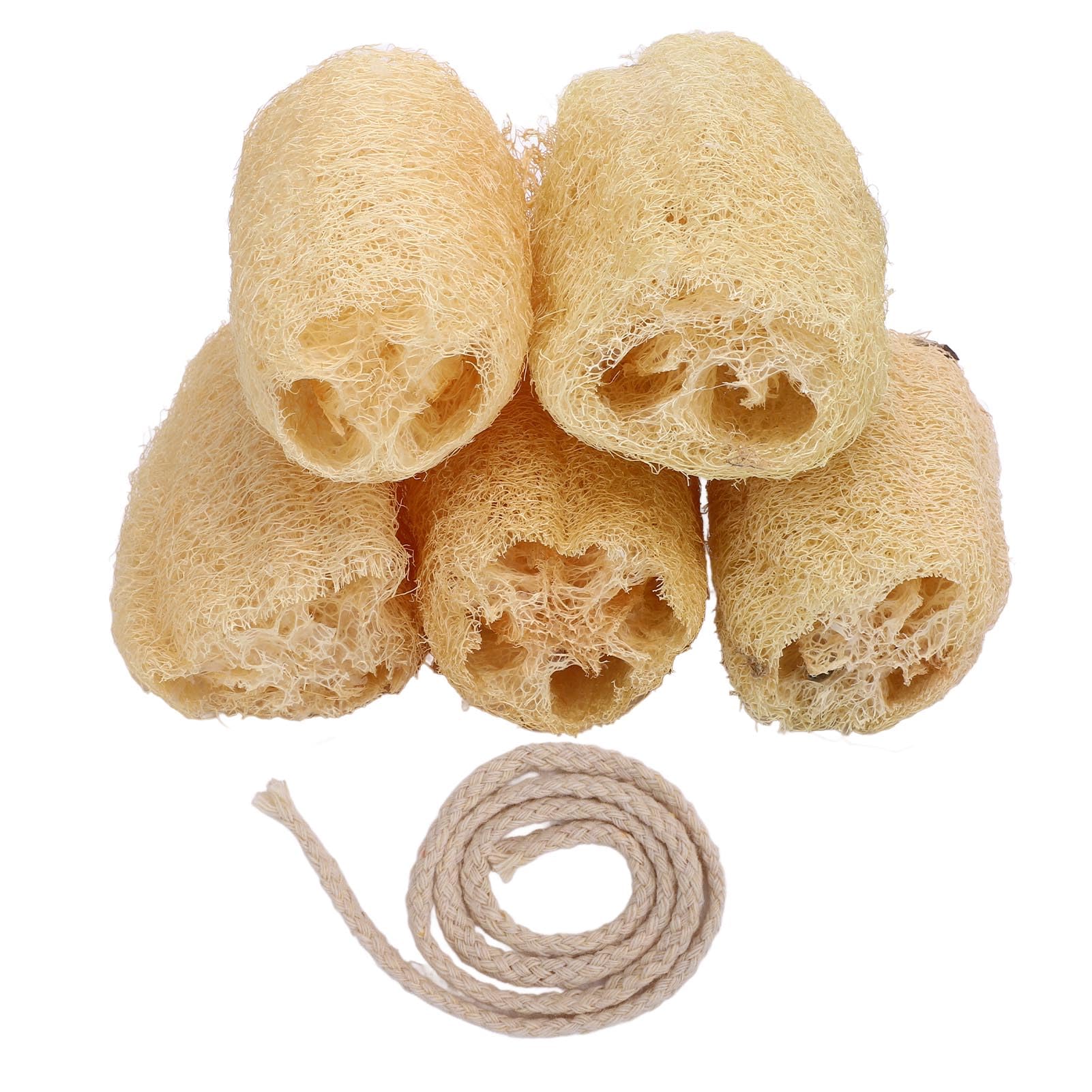 Gąbka Loofah, porowata struktura włókien Skutecznie pochłania tłuszcz Wysoka absorpcja wody Gąbka do naczyń Loofah Miękka, elastyczna szorowarka roślinna do czyszczenia kuchni