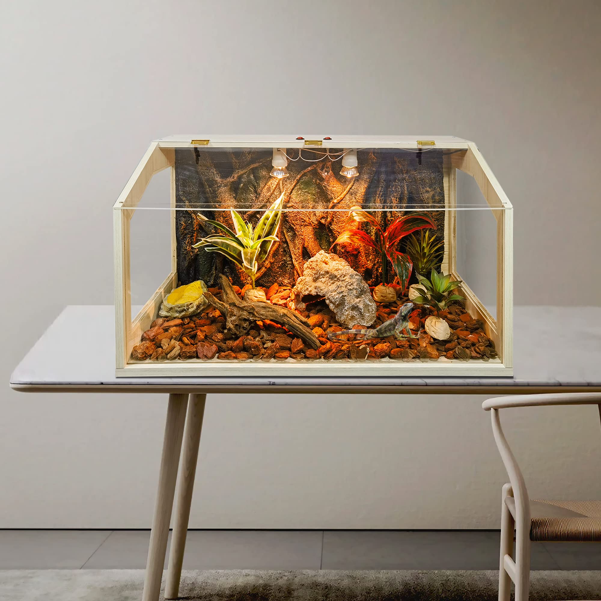 Prolee 21 Gallon to 68 Gallon Reptile Terrarium Tank Lizard Tank Bearded Dragon Tank with Roof Door, Snake Tank with Built-in Lamp Fixture and Switch, 4 Side Windows (21 Gallon 24 x 16 x 16 Inch)