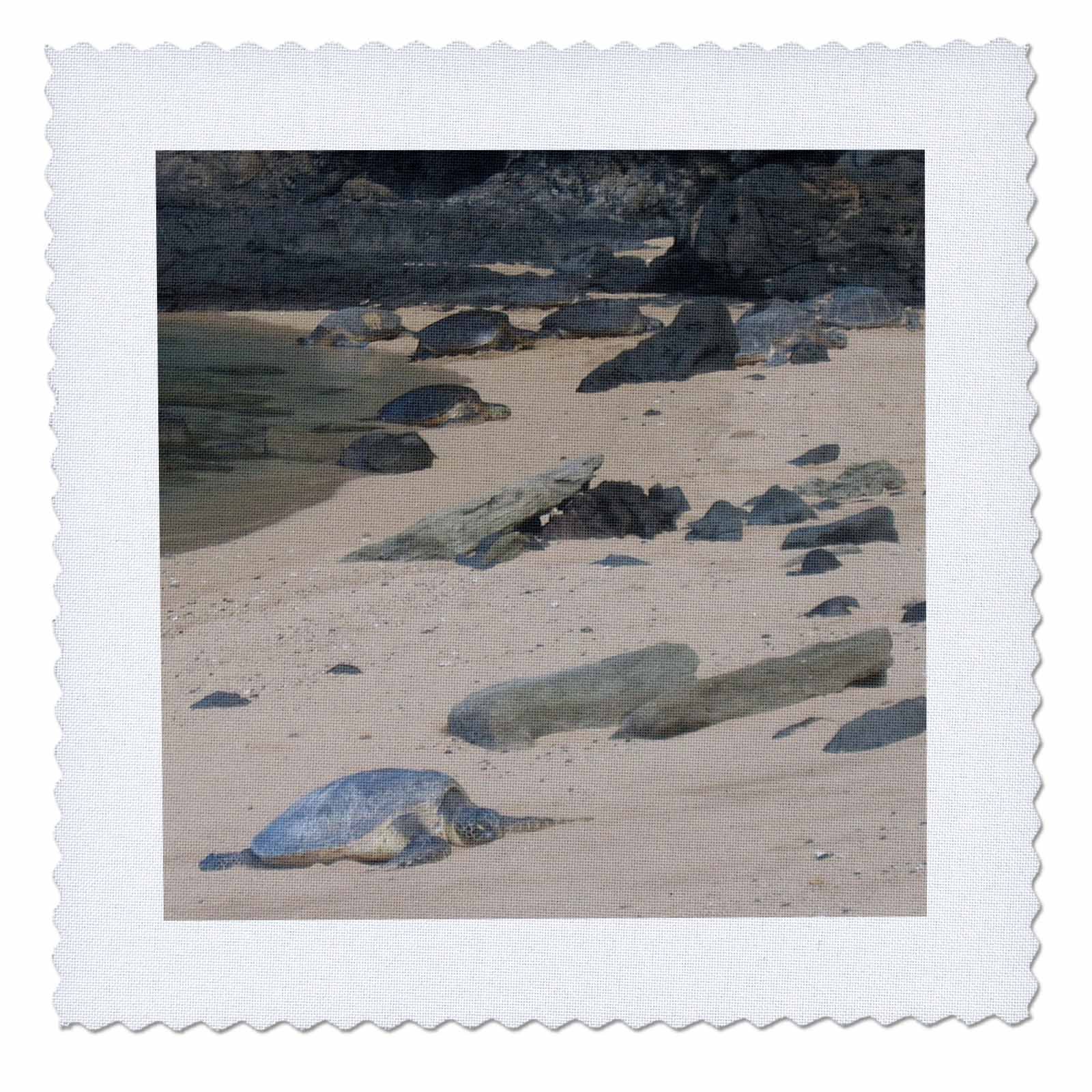 3dRose qs_23700_1 Sea Turtles on Na Pali Coast Quilt Square, 10 by 10-Inch