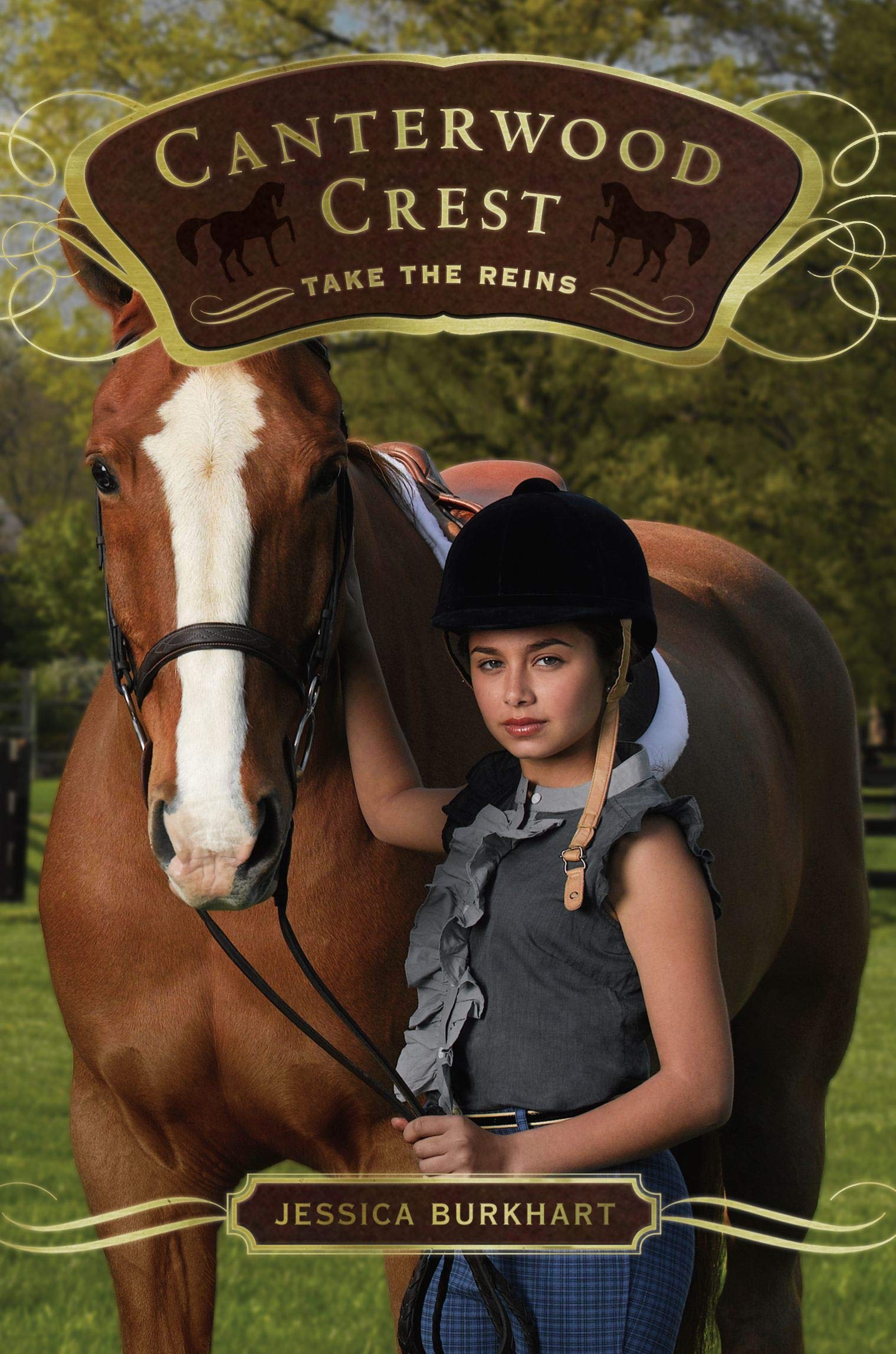 Cover of Take the Reins (Canterwood Crest #1)