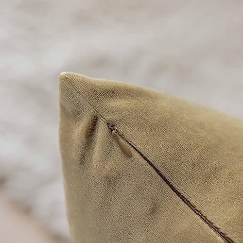 Miniatura 3 de Demetex Juego de 2 fundas de almohada doradas, de terciopelo súper suave, lumbar, moderna, rectangular, para sofá, patio, mujer, aniversario, juego