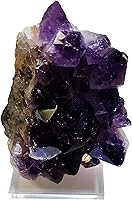 Vista 4 de Clear Choice, Paquete de 12 bases acrílicas cortadas con láser para despelar, multiusos, para exhibir cerámica pequeña, muestras minerales, mini