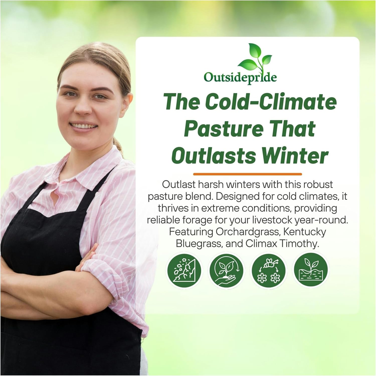 Outsidepride Horse Cold Climate Grass Seed Mix - 25 lb. Perennial, Drought & Cold Tolerant, Pasture Seeds for Planting Resilient Grass Leaves, Ideal for Hay Foraging & Rotational Grazing