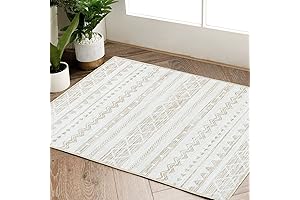 Jinchan Neutral Entryway Rug: A Perfect Fusion of Style and Functionality