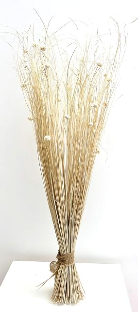 Sheath Bundle cream Dried & Artificial Flower 95 cm Tall Ready For A Vase