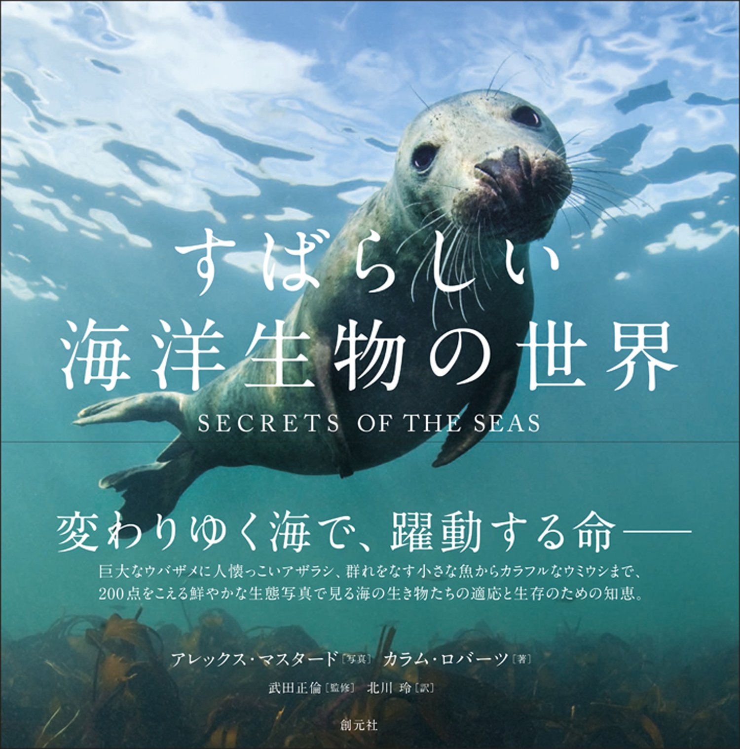 すばらしい海洋生物の世界 カラム ロバーツ 武田 正倫 アレックス マスタード 北川 玲 本 通販 Amazon すばらしい海洋生物の世界 カラム ロバーツ 武田 正倫 アレックス マスタード 北川 玲 本 通販 Amazon