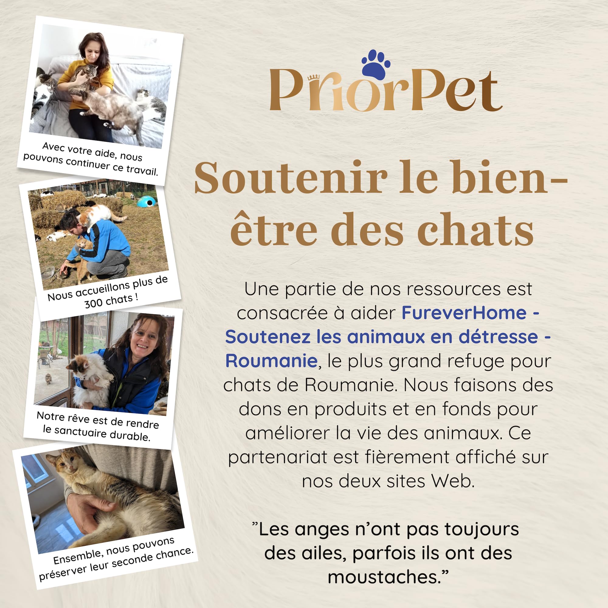 Arbre à Chat pour Grimper, se Cacher et Dormir - Griffoir Breveté à Feuilles interchangeables, Plusieurs Niveaux, Montage Facile - Matériaux sans Danger pour Les Animaux, très Solide