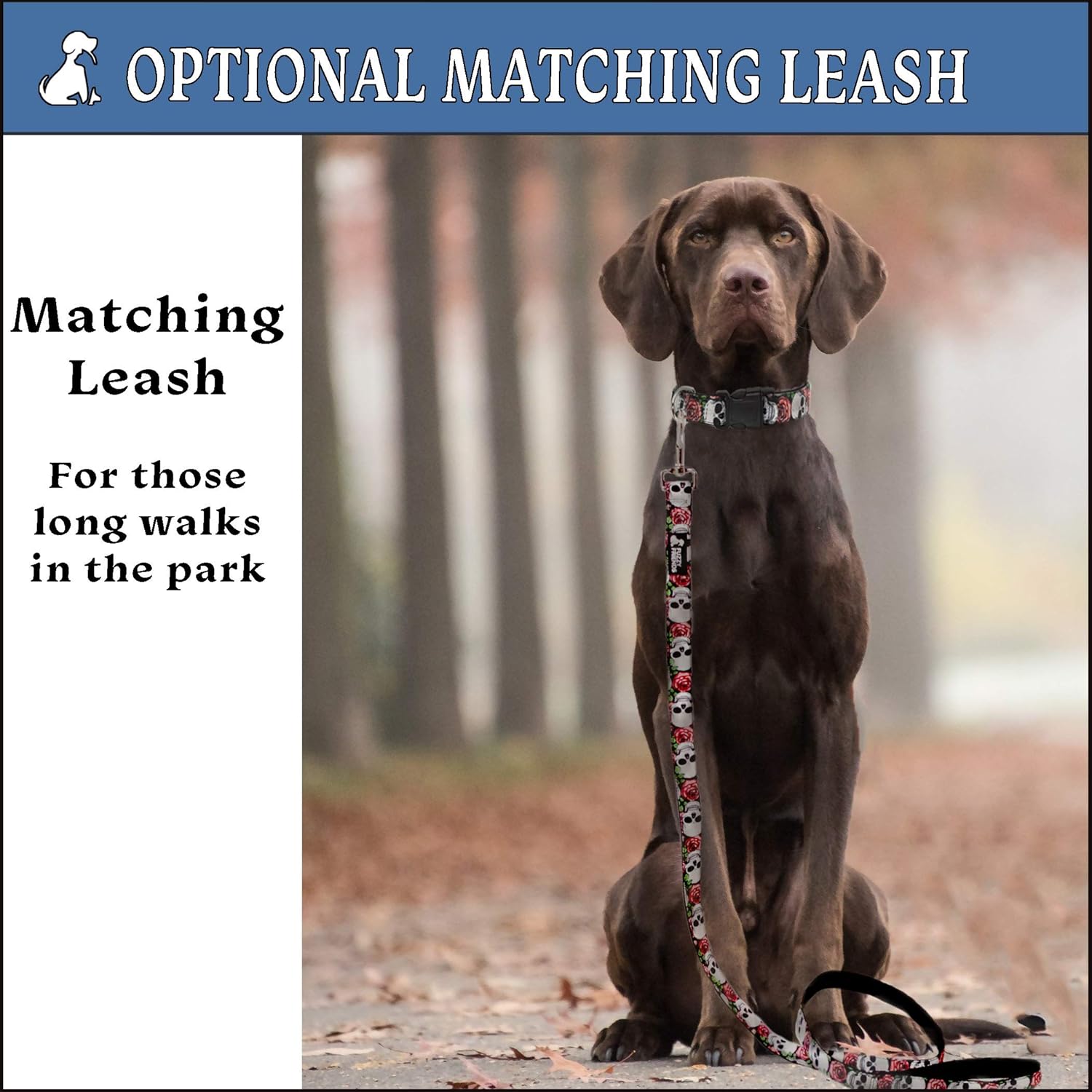 Yellow Dog Collar with Detachable Bow tie and Optional Matching Yellow Leash. This Dog Bow tie is a Cute, Soft Dog Collar with Sturdy Nylon Base, Perfect for Female Dogs or Male, Large Dogs or Small : Pet Supplies