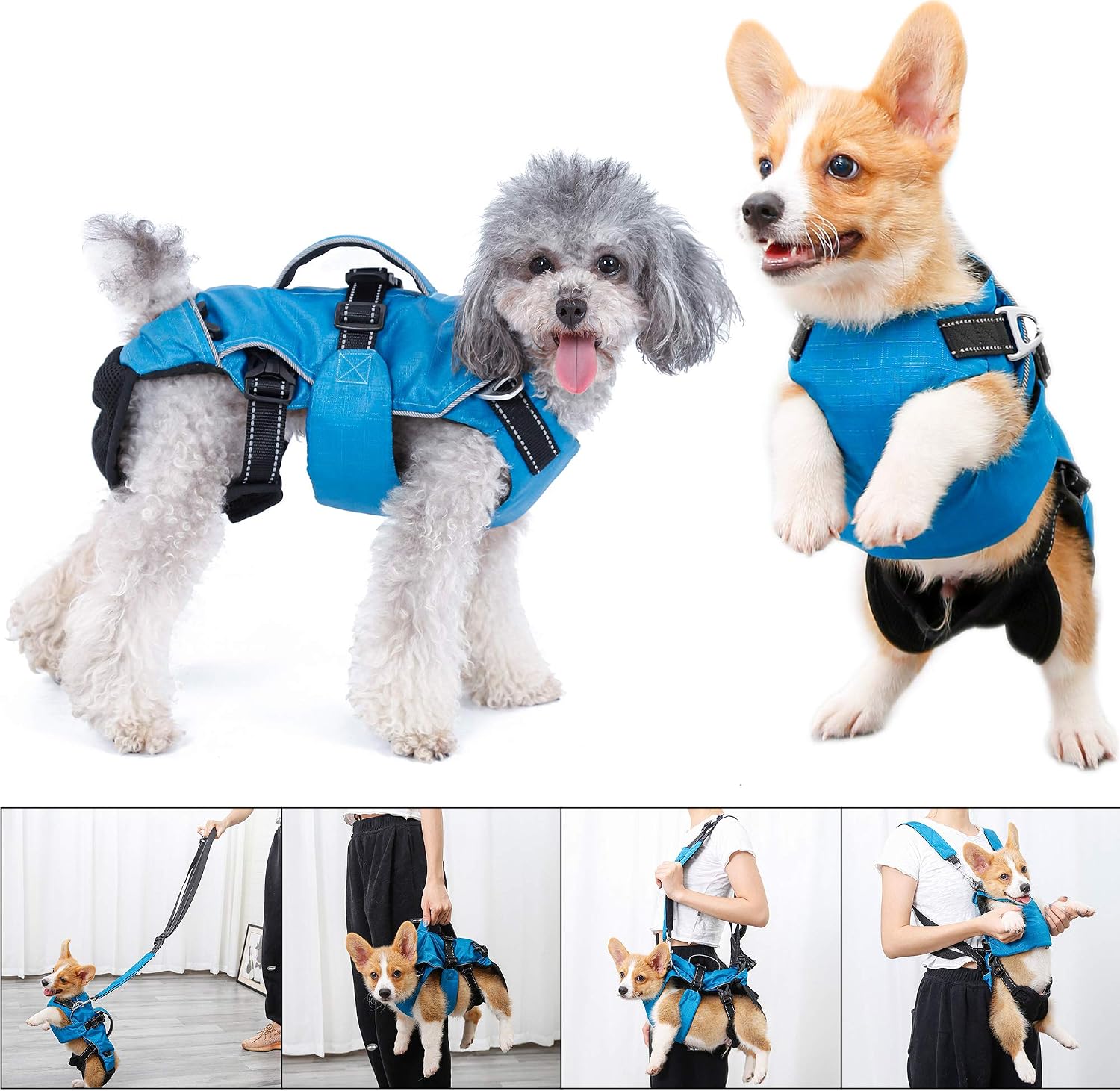 4 in 1 Multi Functional Dog Backpack Carrier for Small Dog, Portable Removable Pet Chest Harness Vest Leash Set with Handle, Puppy…