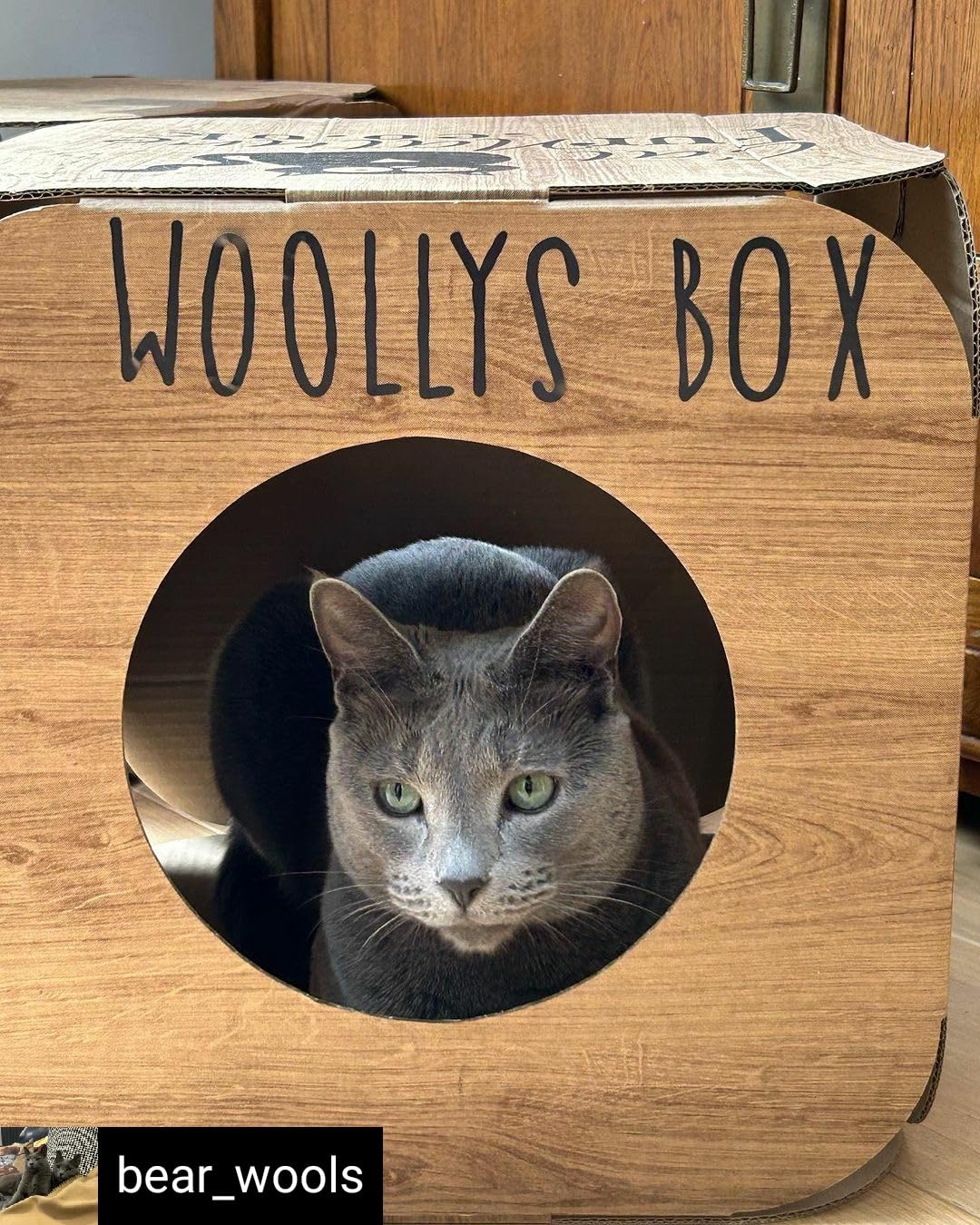 Cat FurNature - Personalised Cardboard Cat Cube