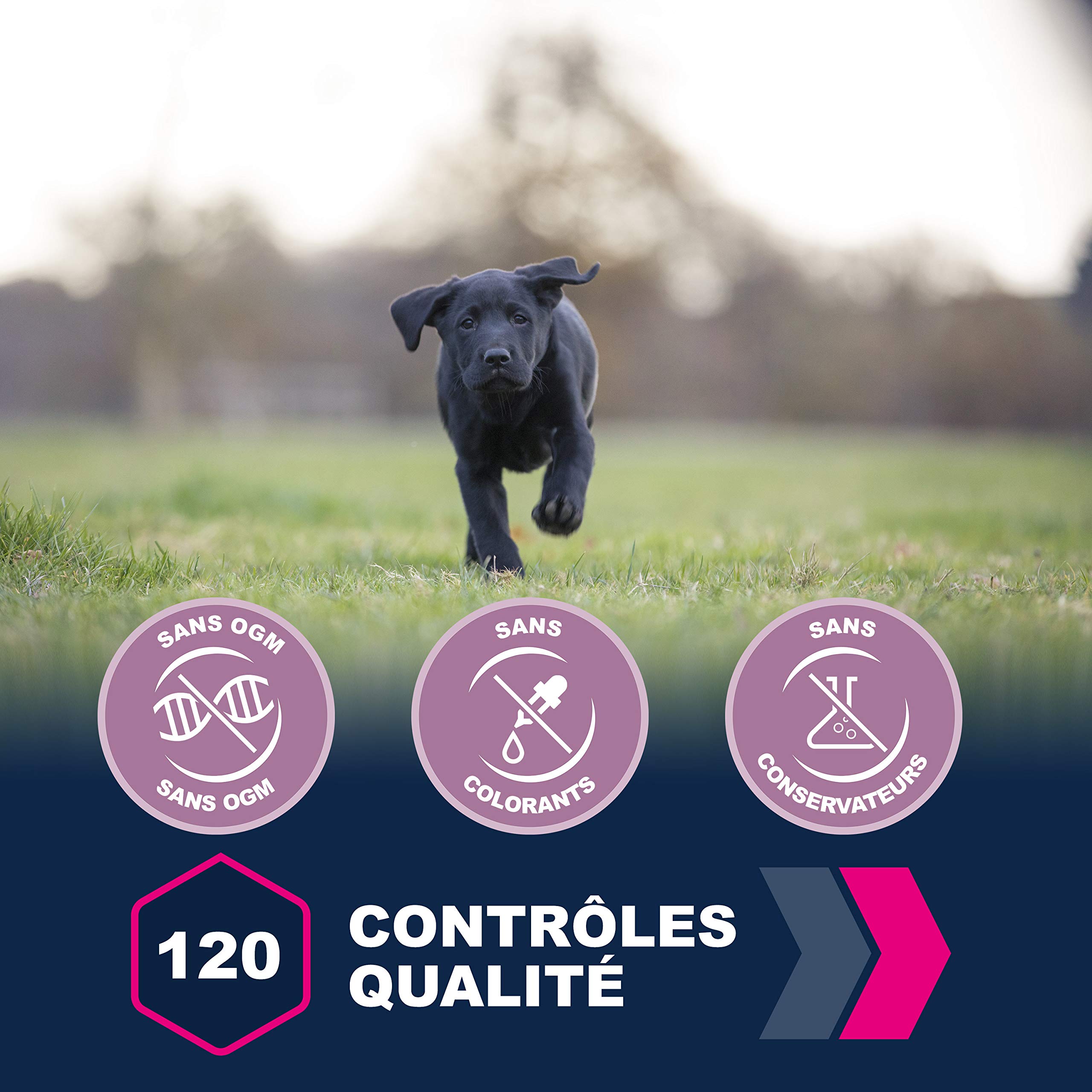EUKANUBA Croquettes pour Chiot Grande Race Poulet - 12 kg