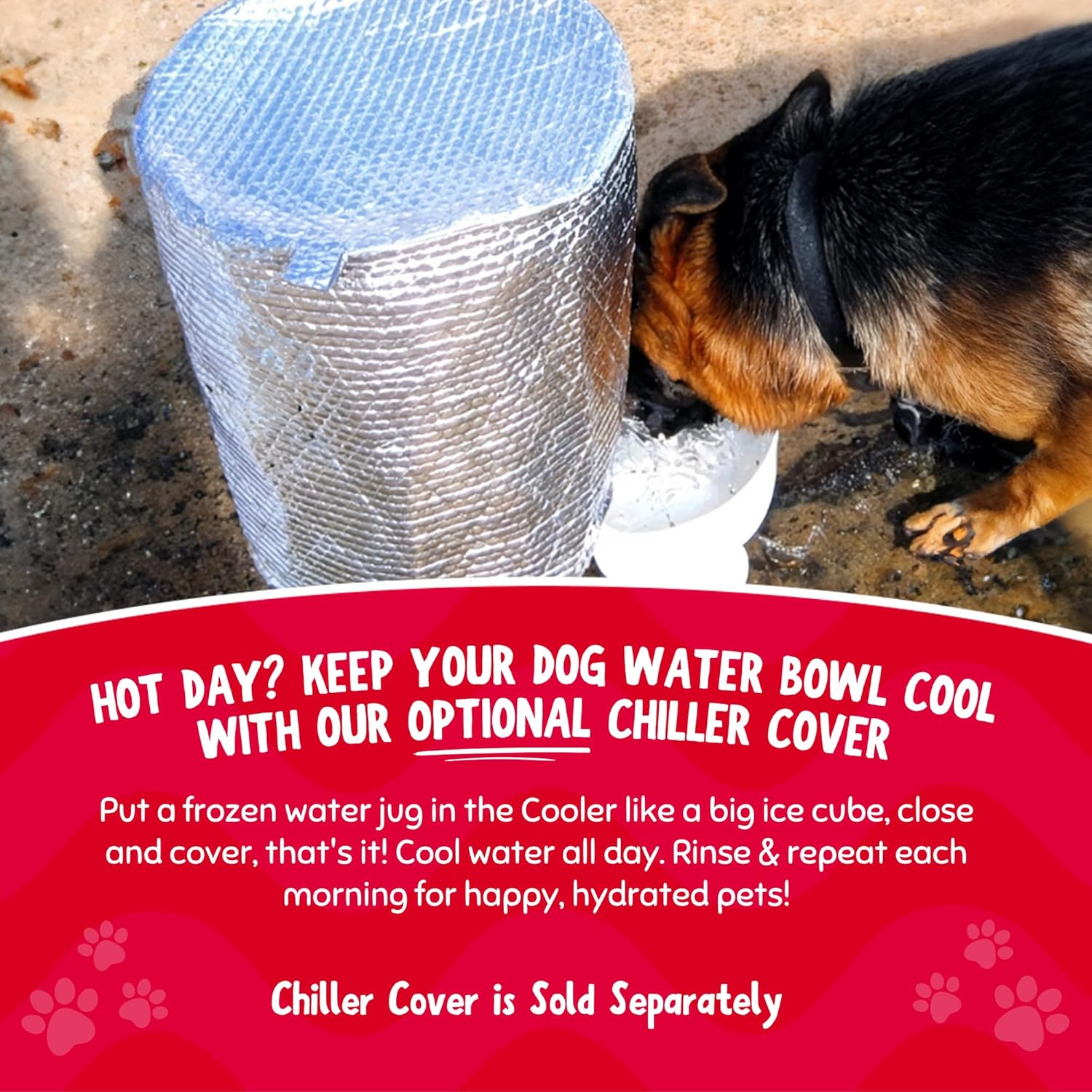 Gravity Water Bowls for Dogs: 6.5 Gallons! Pet Gravity Water Dispenser. Quiet, BPA Free, No Rust, Made in USA. Ideal for Daycares and Multi Pet Busy Parents. Automatic Fountain for Cats