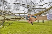 Gardena ExpertCut metszőolló gyümölcsfákhoz, 22 mm vágási átmérő, rozsdamentes acél pengék, bypass vágási rendszer 7