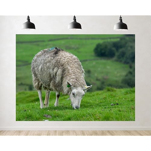 Trykid 5x3ft Fluffy Wool Sheep Backdrop White Grazing Ewe Green Rolling Pasture Bright Hill Sky Photography Background Farm Wildlife Party Decoration Tapestry Photo Booth Prop Fabric