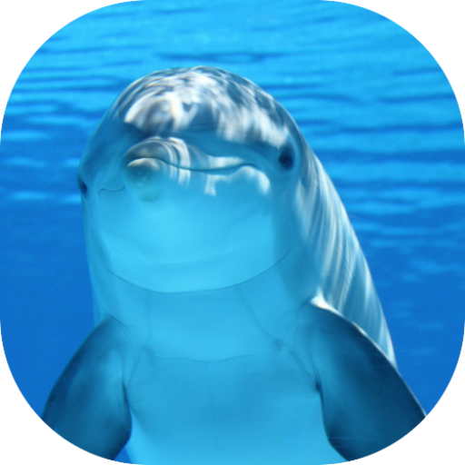 Dolphins WallpapersAmazon.inAppstore for Android