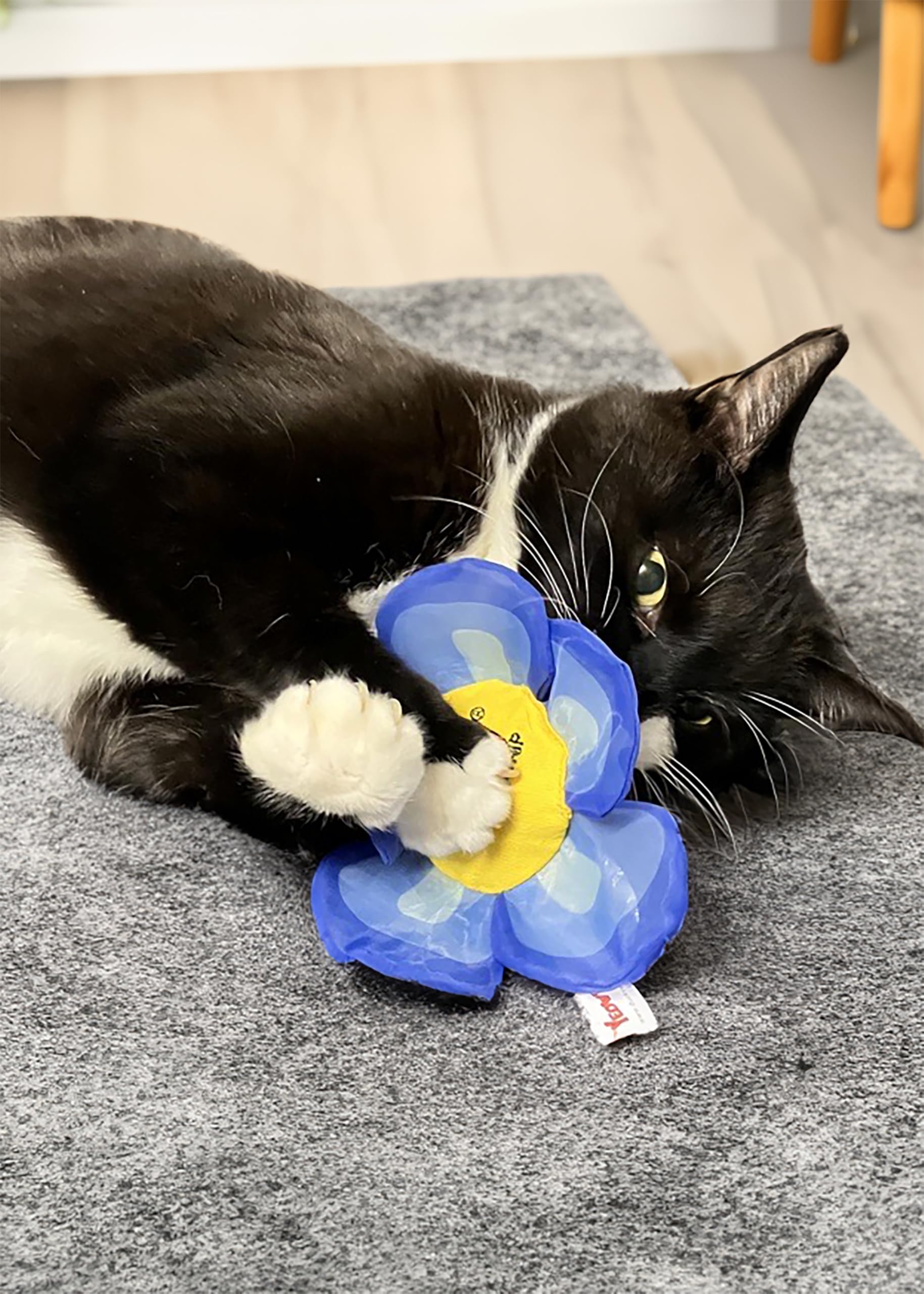 Yeowww! Daisy’s Flower Top, Organic Daisy-Shaped Crinkle Catnip Toy, Durable and Safe, for Indoor and Outdoor Cats Blue, 14cm - Image 3