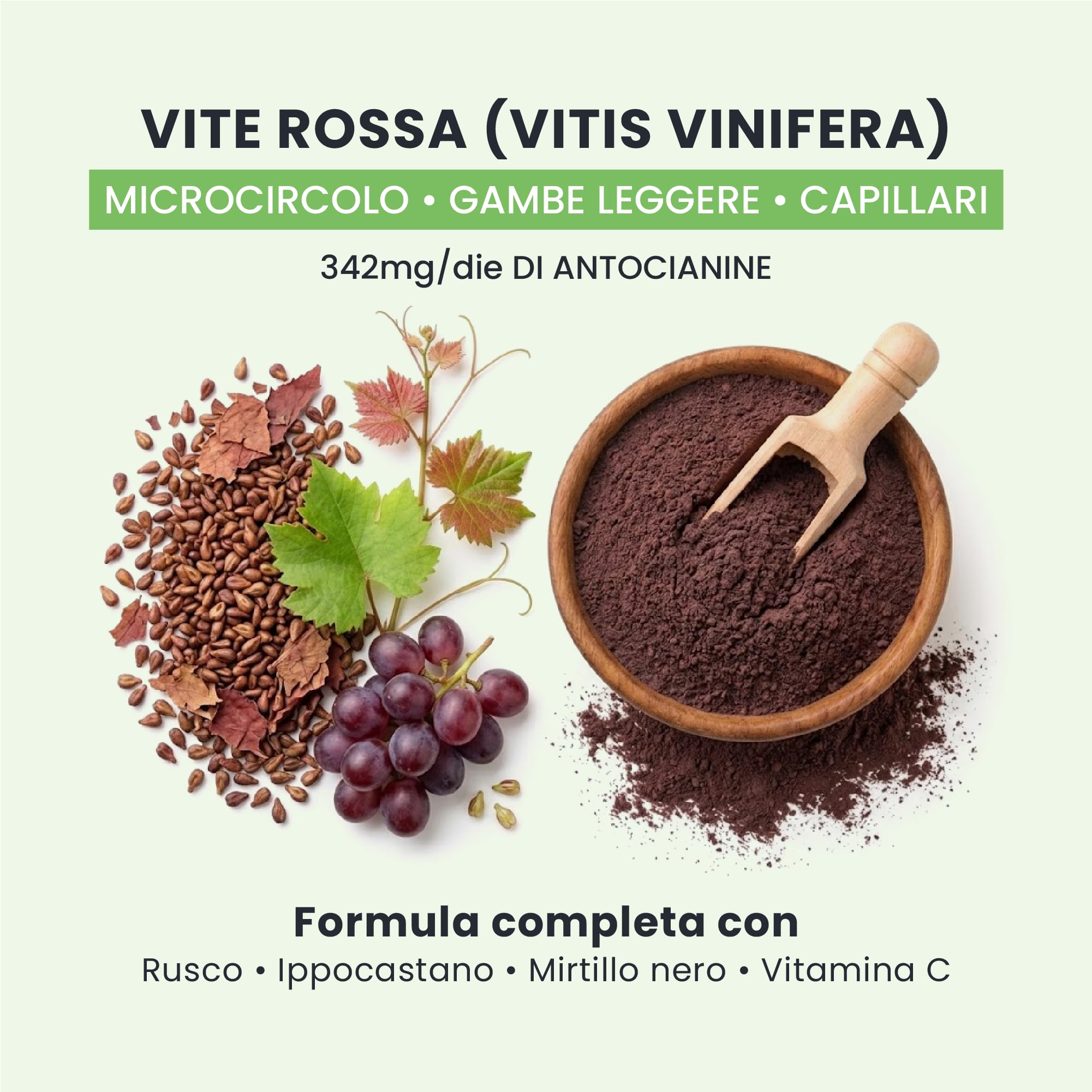 Light Legs+ - Integratore Gambe Leggere & Microcircolo - Proantocianidine 342 mg - 30 giorni (60 caps) - Vegan, senza glutine e lattosio, aroma pesca - Rusco, Ippocastano, Mirtillo