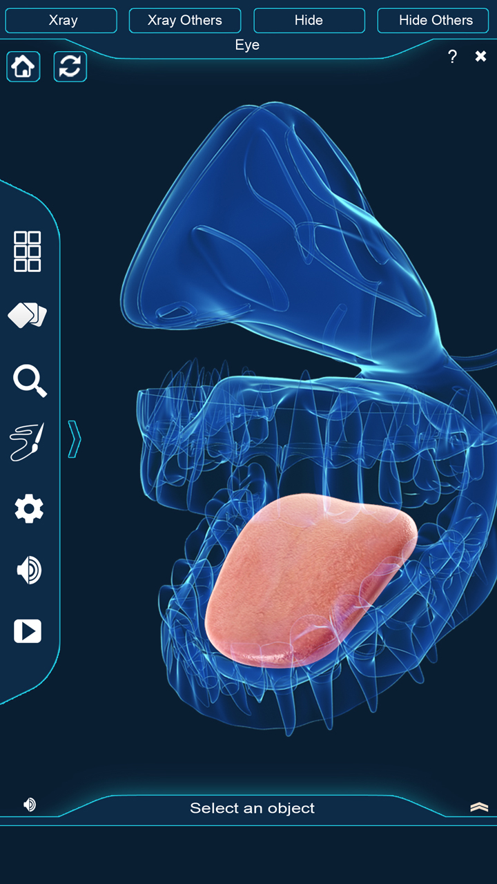 Dental Anatomy Pro.: app su Amazon Appstore