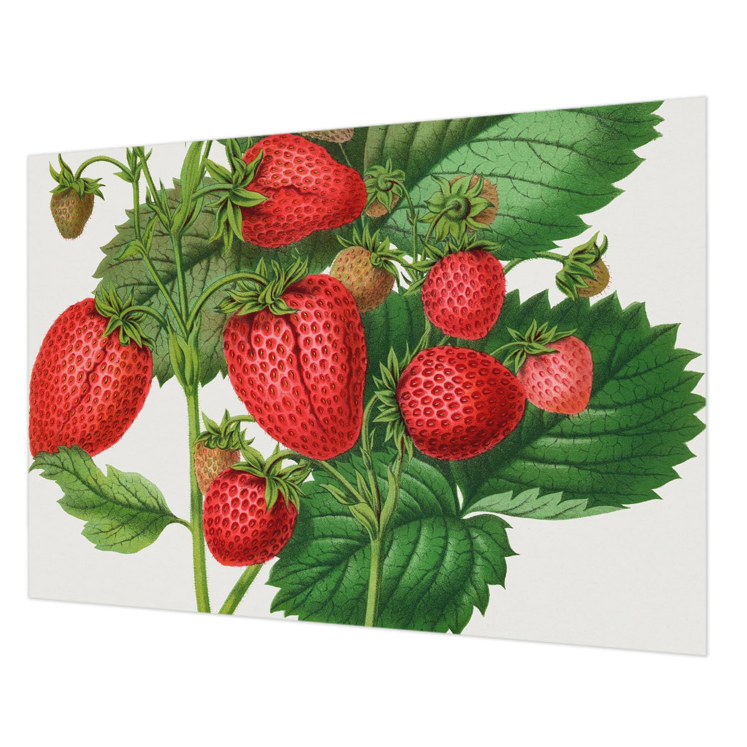 Revêtement mural intissé pour chambre à coucher déco fruits d'été Tulup 208x146 cm