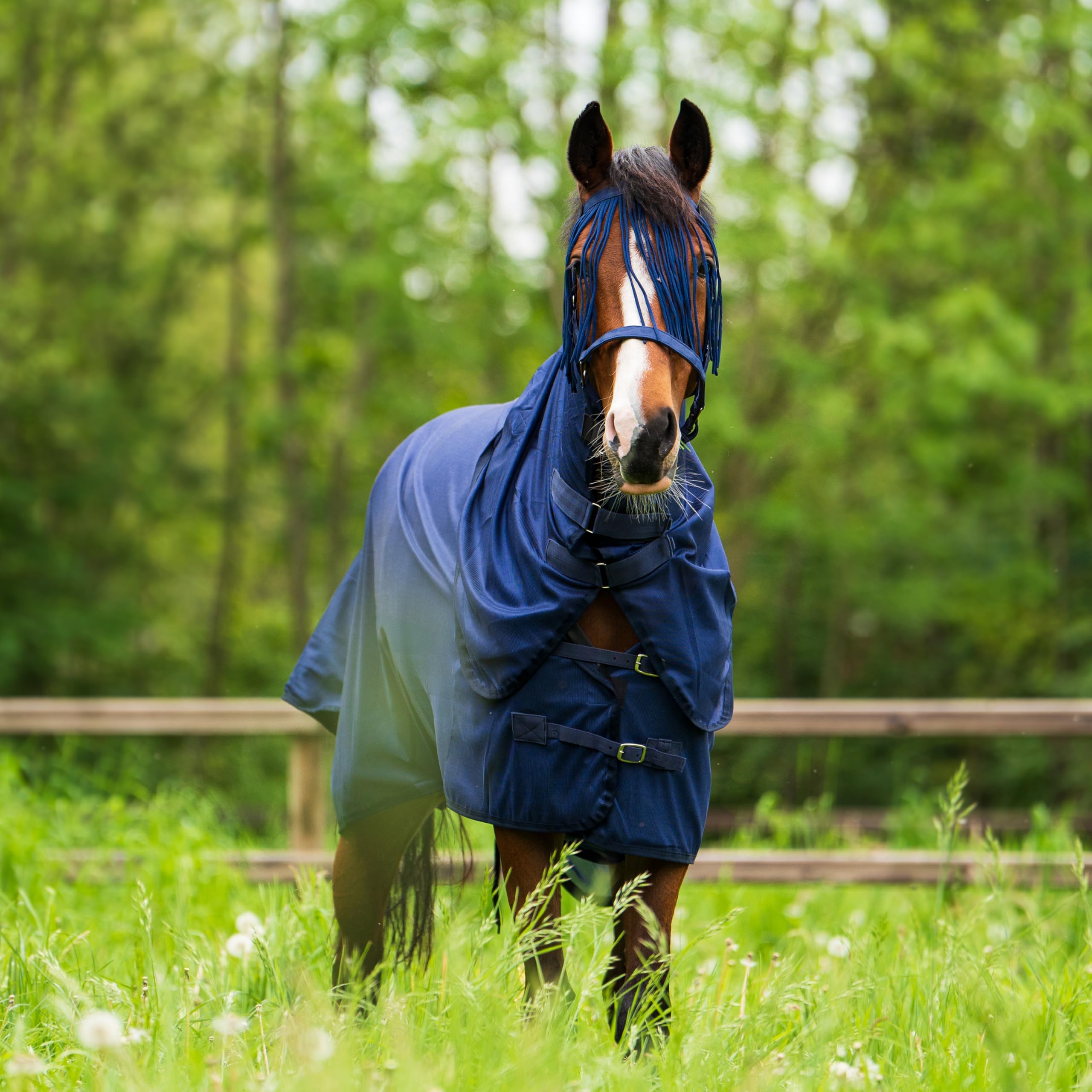 Imperial Riding IRHReese Couverture Anti-Mouches Bleu Marine 165