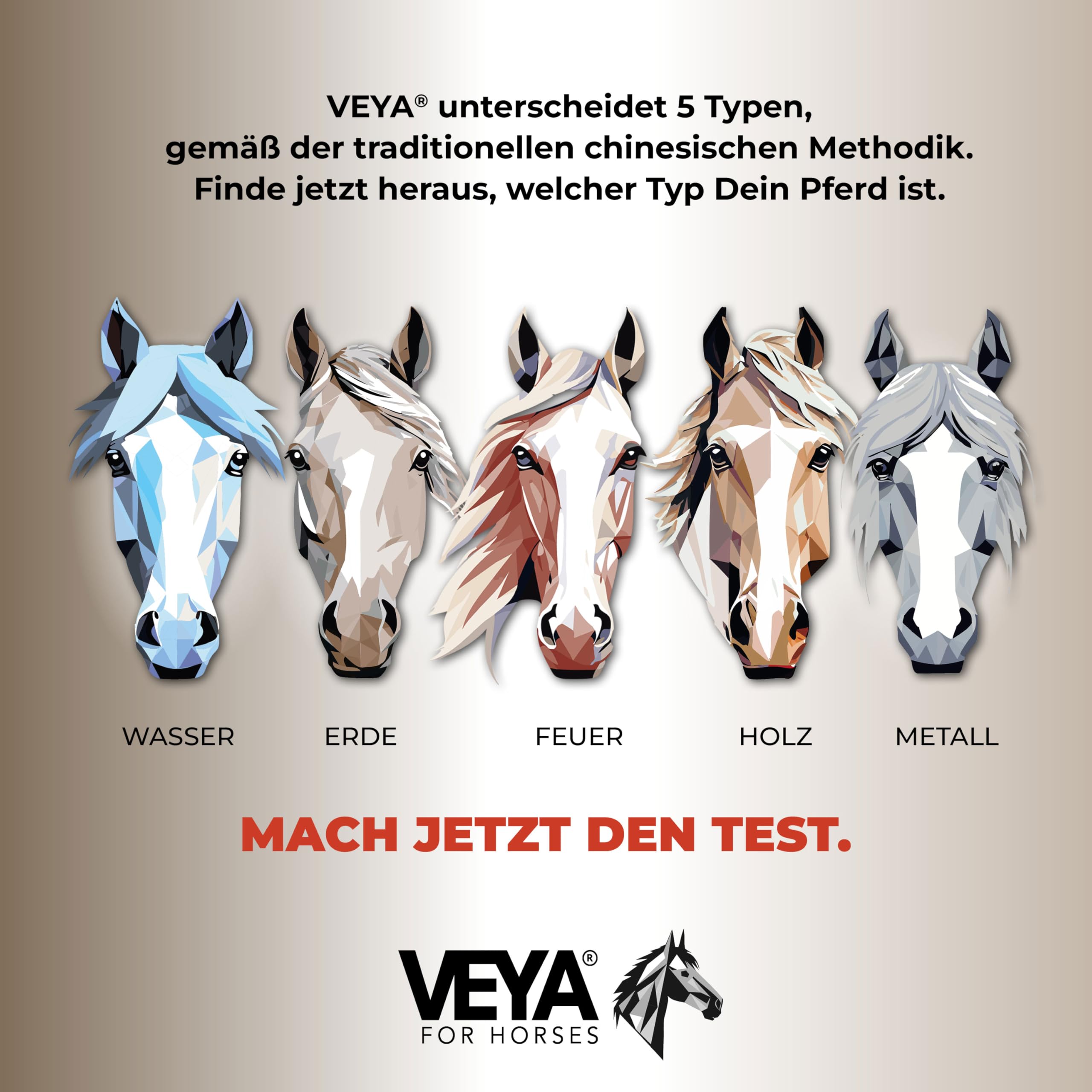 VEYA® by STRÖH Erde-TYP 2 Stoffwechsel & Entgiftung Liquid Pferde (1L) • Stoffwechsel Kräutersaft für Leber & Nieren • Mit Mariendistel & Artischocke • Für Erde-Typ Pferd • Made in Germany