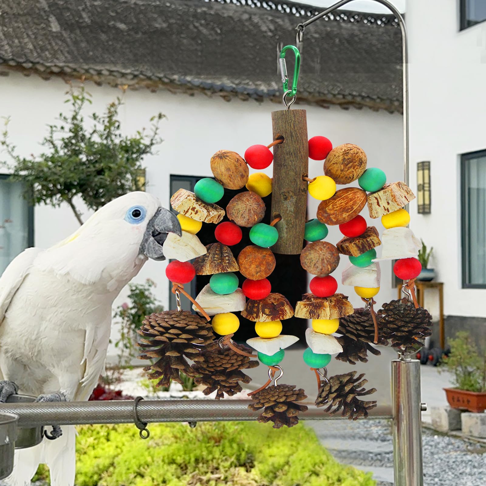 MQUPIN Papageienspielzeug, nussiges, nährstoffreiches Vogelspielzeug, natürliches hölzernes Beißspielzeug für Papageienkäfige, mit Tintenfischknochen, Kiefernzapfen, hölzernen Mangos und Karambole