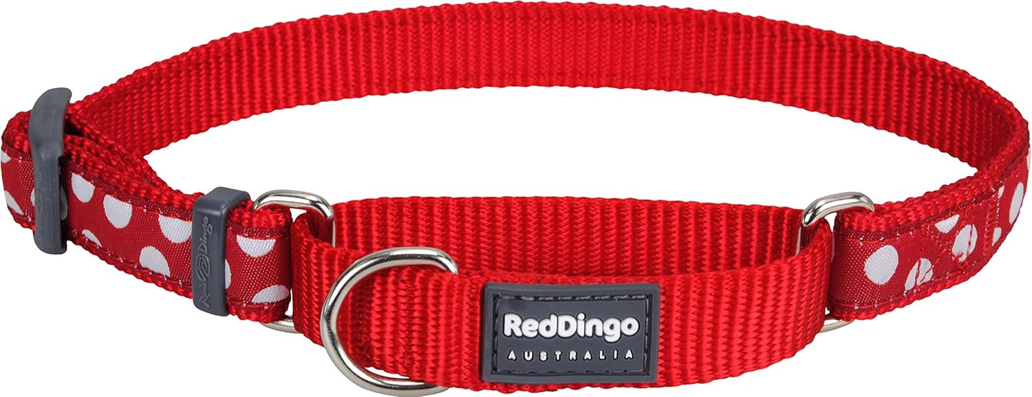Red Dingo Martingale Collar, 3247 cm x 20 mm, White Spots on Red
