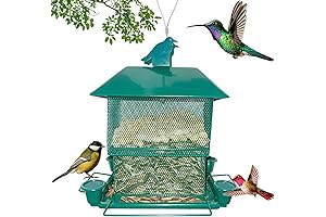 Teal Pozausfer Hummingbird Feeder: A Haven for Colorful Hummingbirds and Songbirds