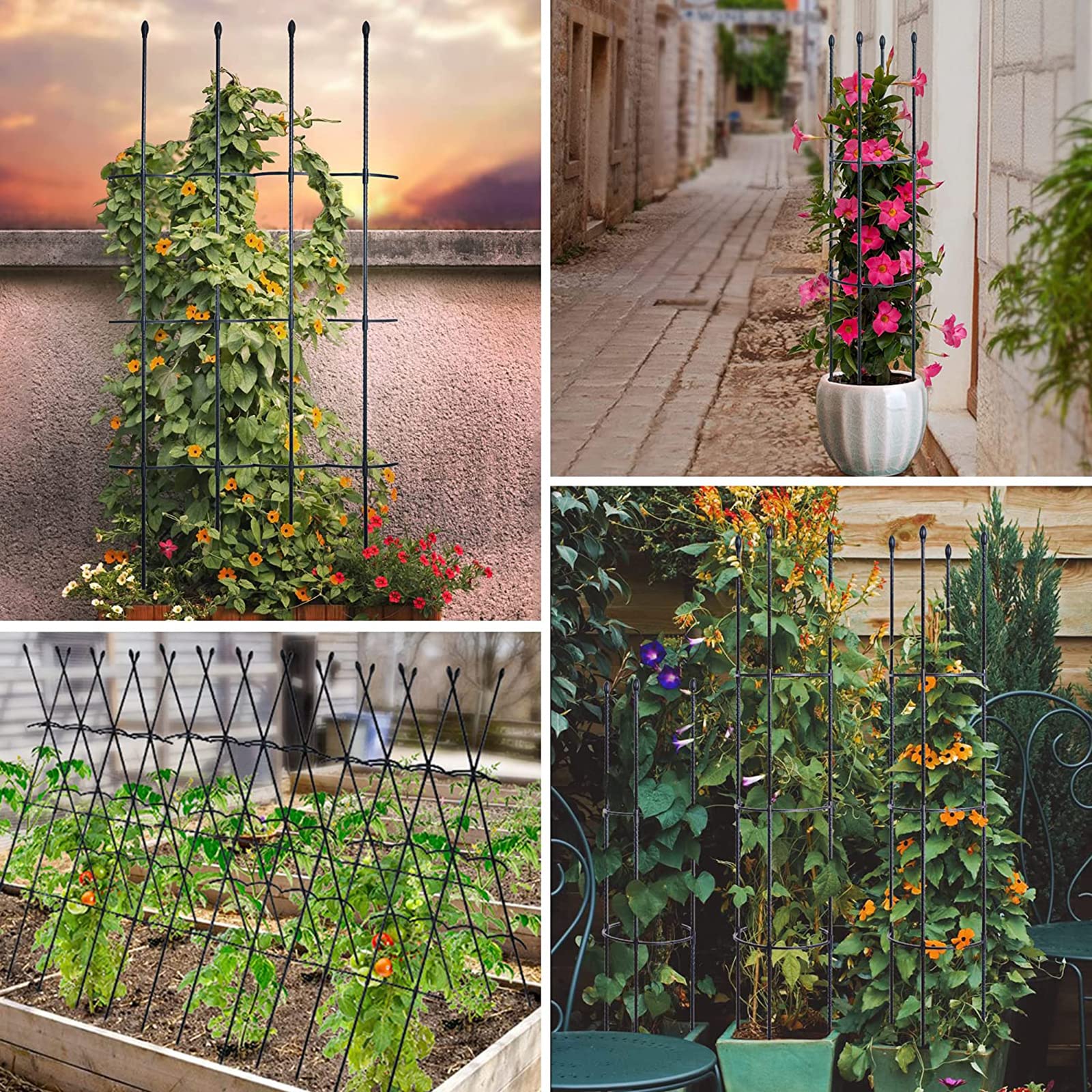 Apoyo para Plantas,Jaula para Plantas de Tomate,Escalada Vegtables,Flowers,Fruit Grow Cage,Soporte Inoxidable Estable,Adecuado para Todo Tipo de Plantas trepadoras,Guardián de Las Plantas
