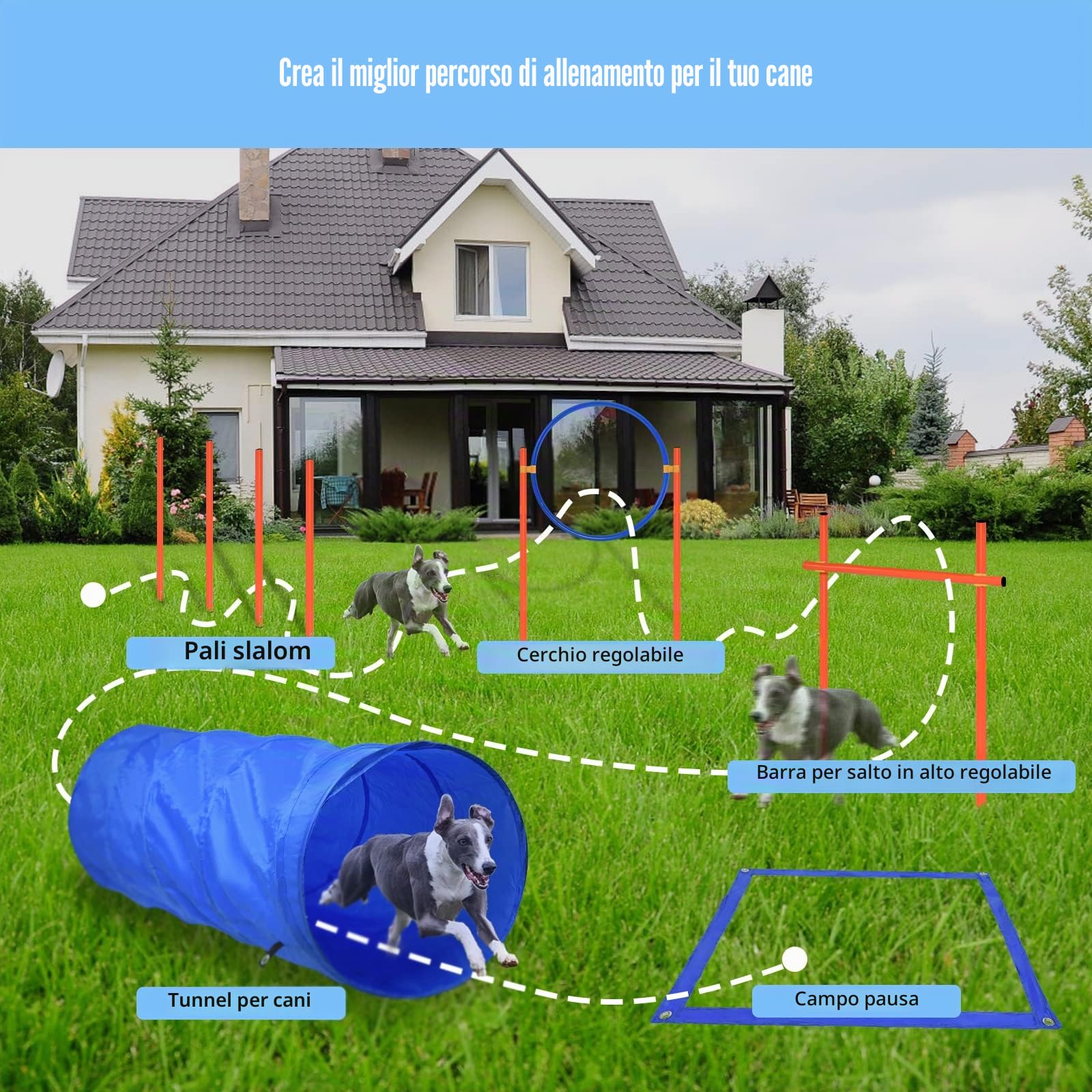 Froadp Attrezzatura per Agilità per Cani Combinazioni di Ostacoli con Pali da Slalom Anello Regolabile Asta del Salto in Alto, Tunnel per Cani e Gatti, Agility Set per la Formazione al Coordinamento