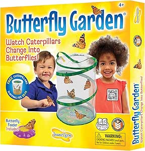 Insect Lore - Butterfly Growing Kit - With Voucher to Redeem Caterpillars Later