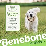 Benebone Ring Durable Dog Chew Toy for Aggressive Chewers, Real Bacon, Made in USA, Medium