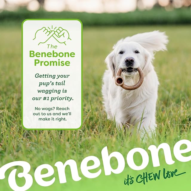 Foto 6 de 6 de Benebone Ring Dog - Juguete masticable para masticadores agresivos, Tocino