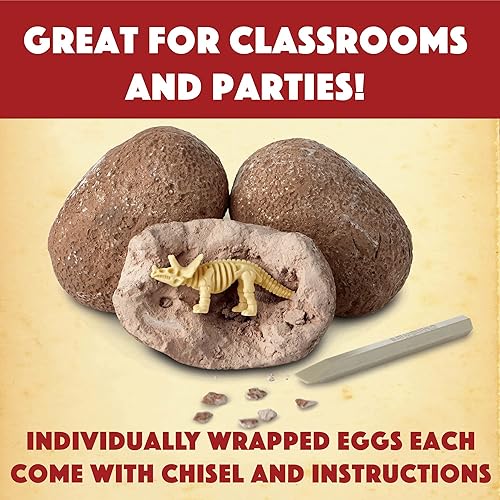 Miniatura 3 de MindWare Dig It Up!