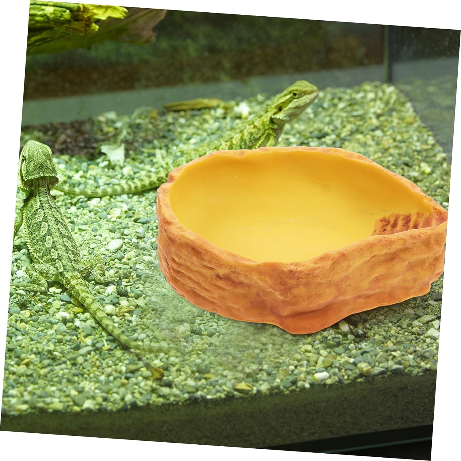 Simulated Rocks Reptile Food Bowl Tortoise Water Bowl Snake Drink Dish Lizard Tank Reptile Decor