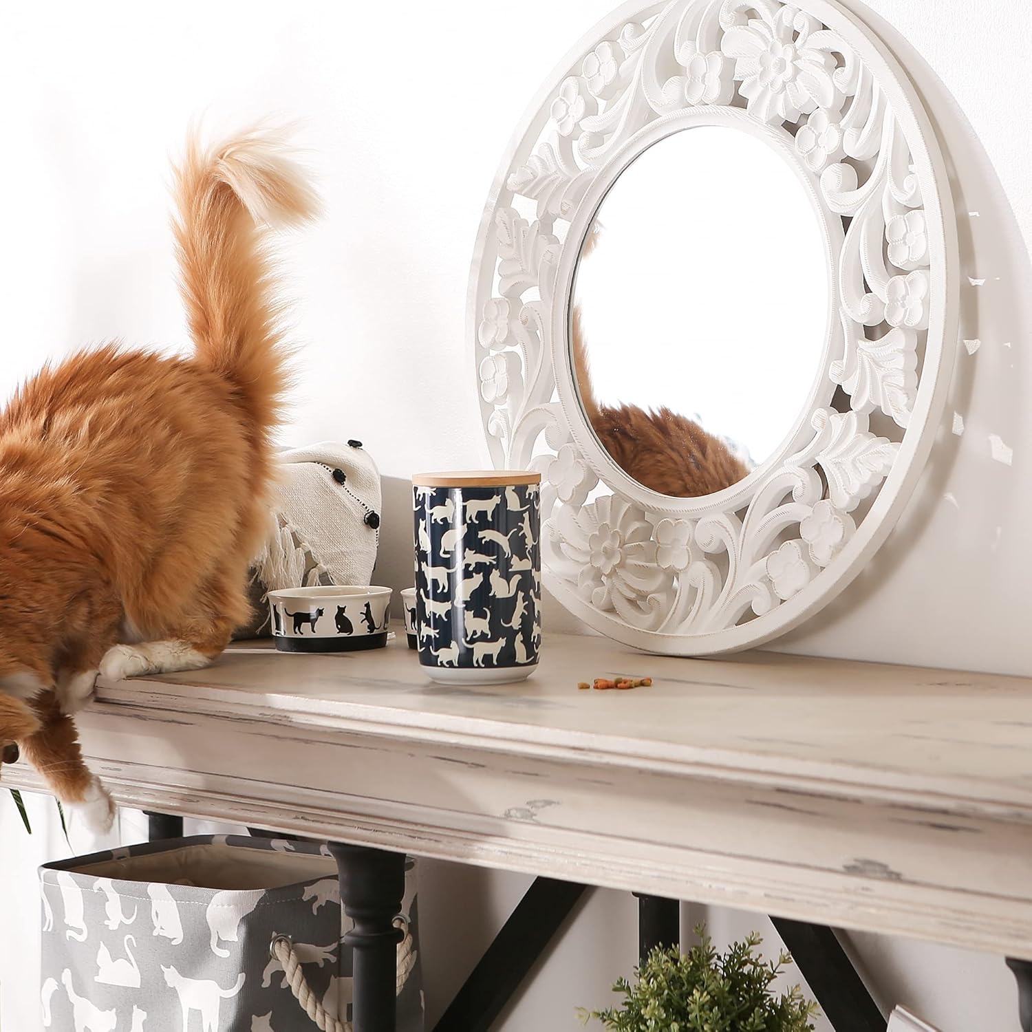 Bone Dry Ceramic Pet Silhouette Collection, Treat Canister, 4x6.5, Navy, Cat's Meow : Everything Else