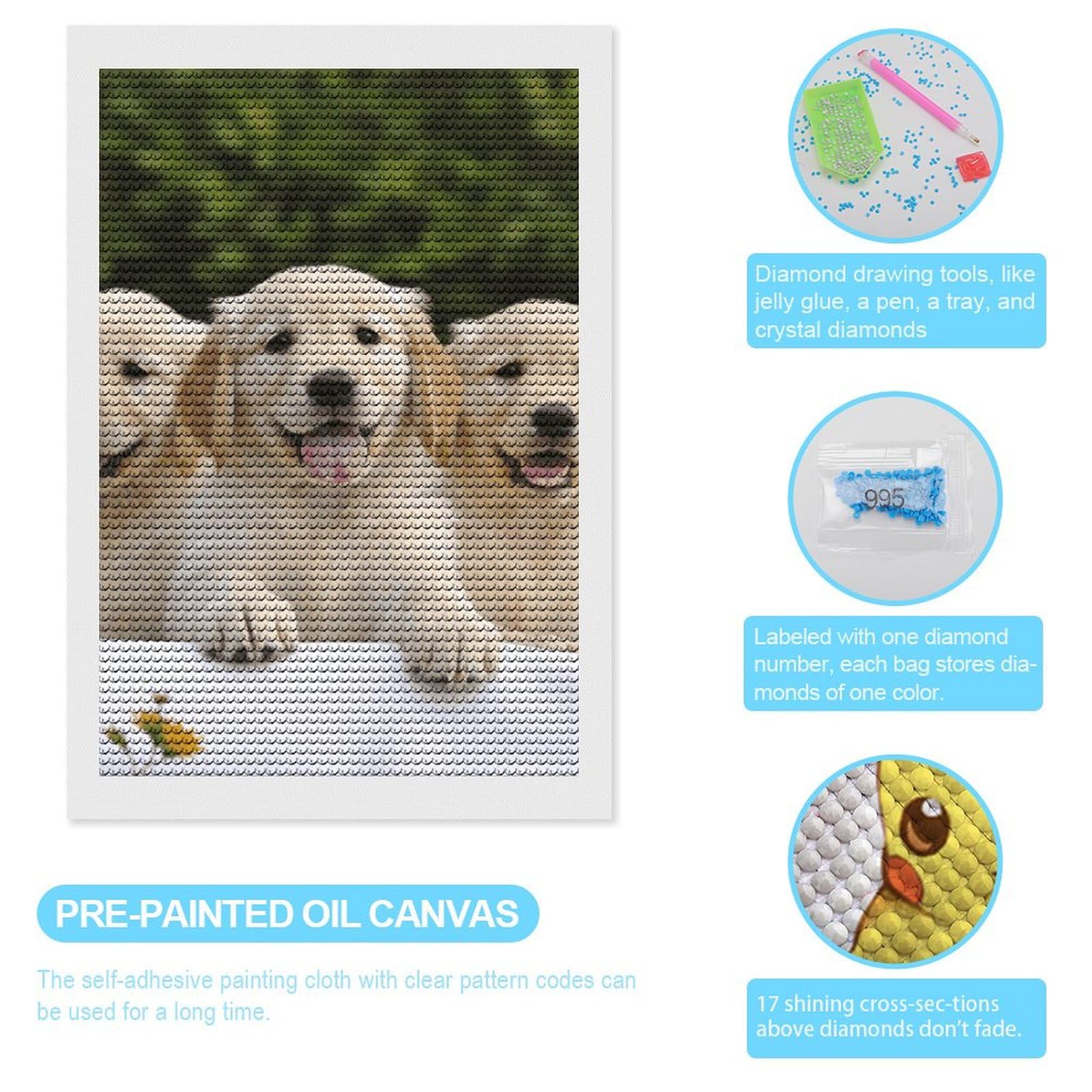 Kit di Pittura Diamante per Adulti, DIY 5D Girasole Diamond Painting