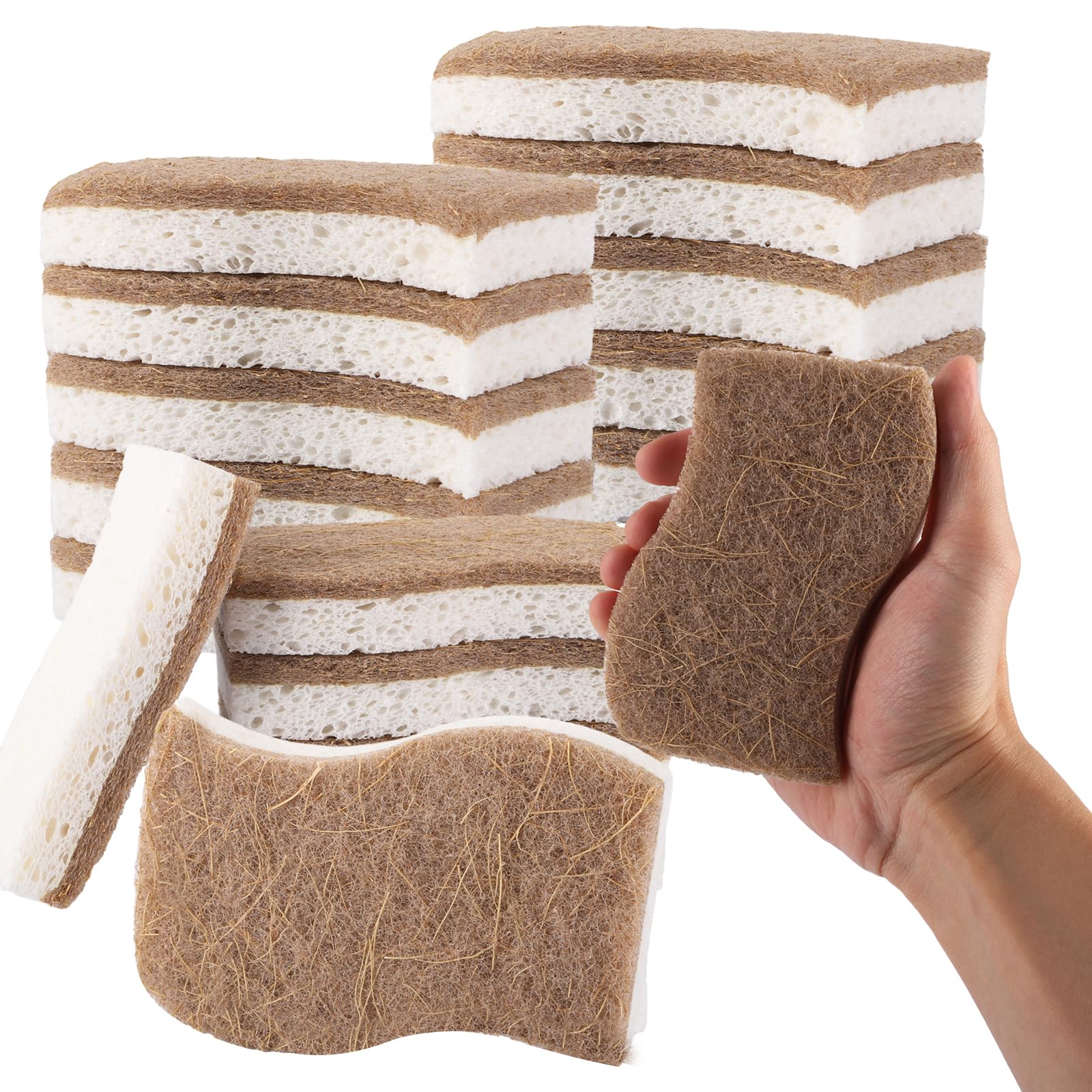 PROFF Lot de 8 éponges à Vaisselle absorbantes en Mousse Standard PROFF Lot de 8 éponges à Vaisselle absorbantes en Mousse Standard