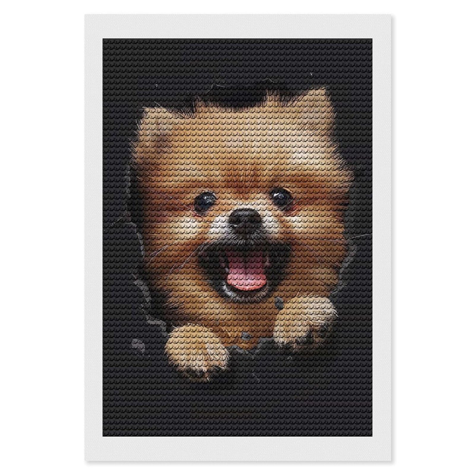 Junmoney Pomeranian(2) DIY Diamond Art Canvas Kit 8"x12", Winter Craft, Mindful Craft Project, Aesthetic Room Decor, Decor Project