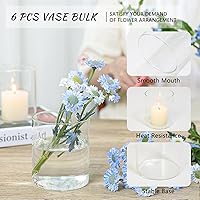 Vista 3 de Juego de 6 jarrones cilíndricos de vidrio para centros de mesa, jarrones de flores transparentes cortos de 5 pulgadas a granel, portavelas