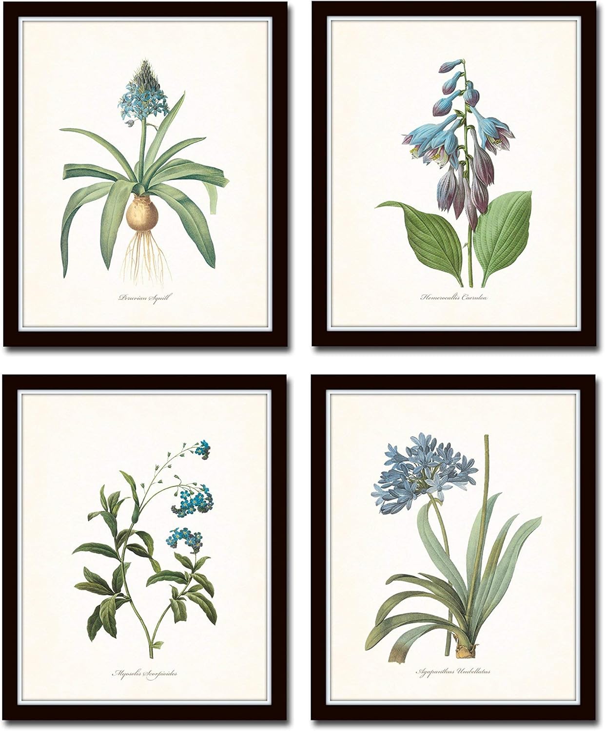 Redoute Blue Botanical Print Set No.7 - Botanical Prints, Wall Art Prints, Vintage Wall Art, Vintage Wall Decor, Vintage Art Prints, Botanical Wall Decor, Vintage Botanical Prints - Unframed