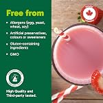 Poudre de protéines tout-en-un Organika gâteau aux fraises avec 20 g de protéines, 15 vitamines et minéraux provenant de vrais fruits et légumes, 5 milliards de CFU de probiotiques, 4 g de fibres prébiotiques, enzymes digestives, 1 g de sucre - 640 g