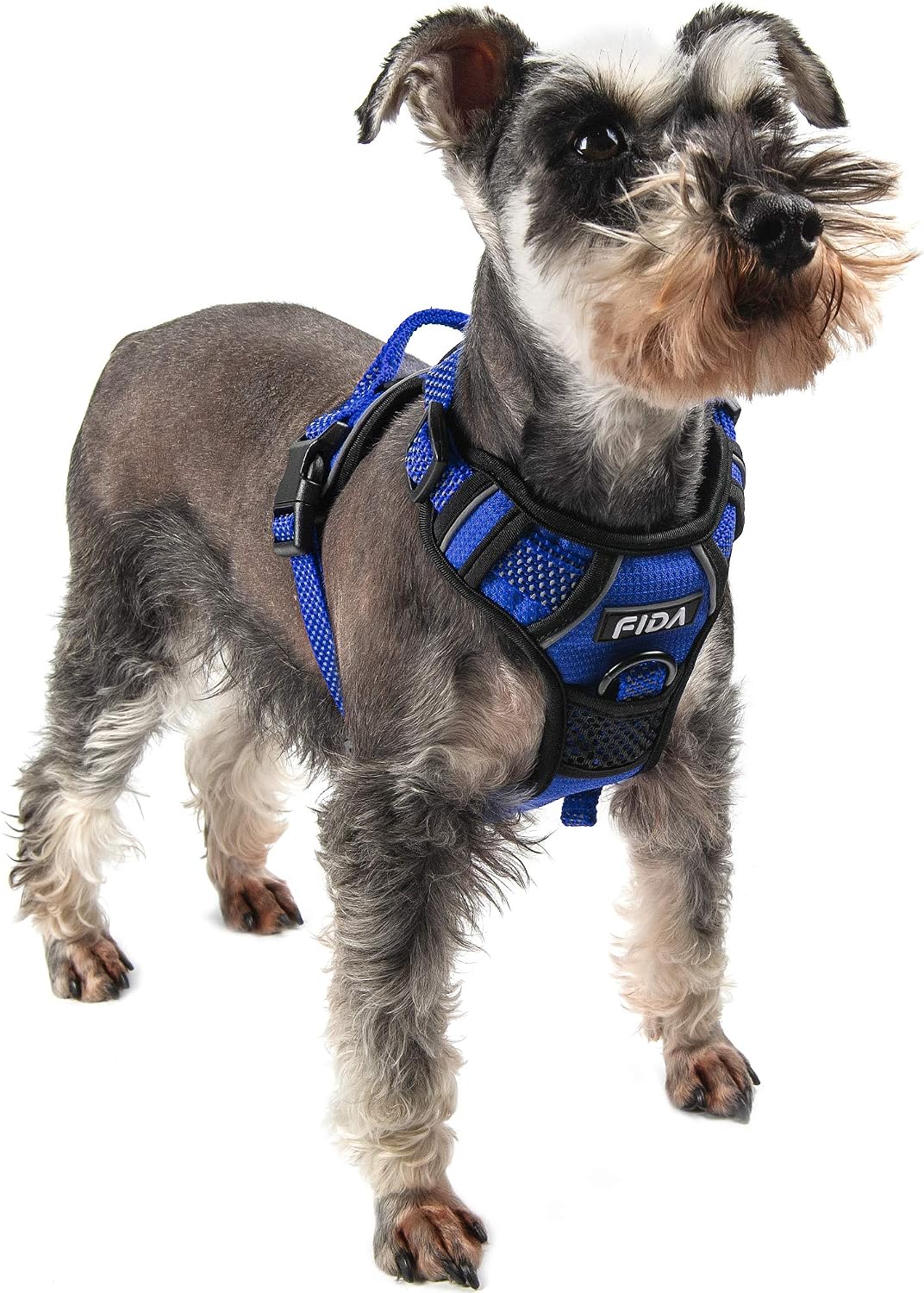 Fida Dog Harness Full Reflective Design, No-Pull Pet Vest Harness with 2 Leash Clips, Adjustable Soft Padded with Easy Control Handle for Small Dogs(Small, Blue)