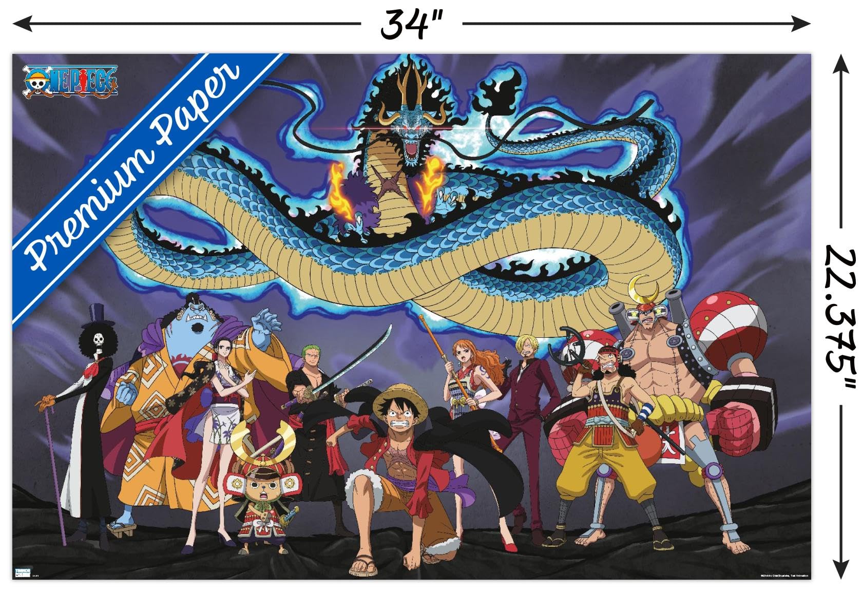 One Piece: Wano Country - Crew Dragon Wall Poster : Amazon.ca: Home